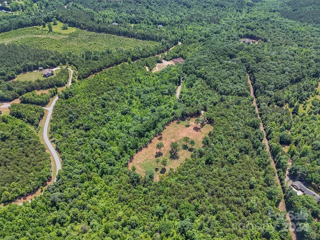0 Prospect Point Dr, Tryon, NC 28782 - photo 15