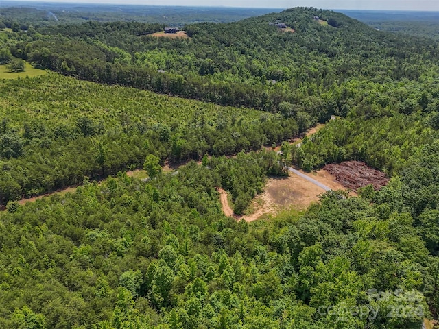 0 Prospect Point Dr, Tryon, NC 28782 - photo 16