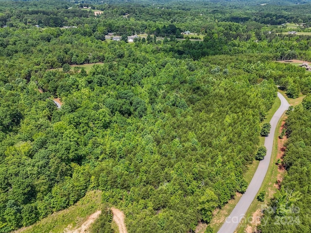 0 Prospect Point Dr, Tryon, NC 28782 - photo 18