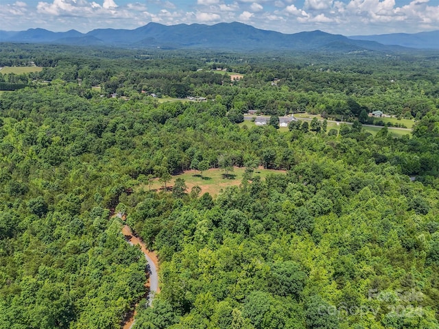 0 Prospect Point Dr, Tryon, NC 28782 - photo 19