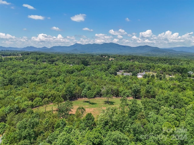 0 Prospect Point Dr, Tryon, NC 28782 - photo 20