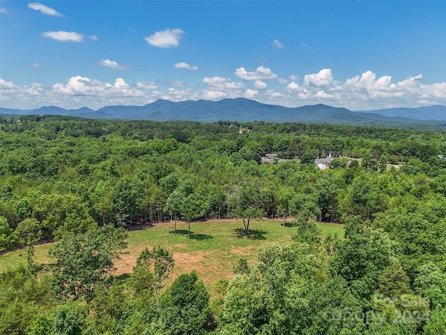 0 Prospect Point Dr, Tryon, NC 28782 - photo 21