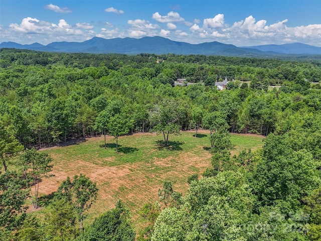 0 Prospect Point Dr, Tryon, NC 28782 - photo 22