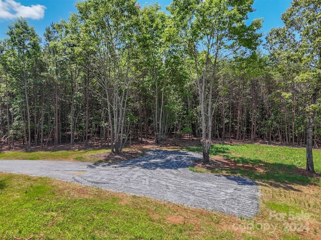 0 Prospect Point Dr, Tryon, NC 28782 - photo 23