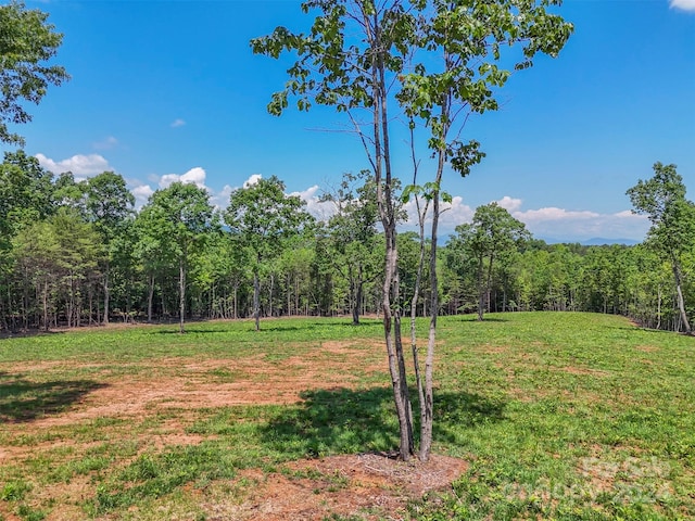 0 Prospect Point Dr, Tryon, NC 28782 - photo 24