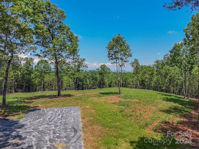0 Prospect Point Dr, Tryon, NC 28782 - photo 26