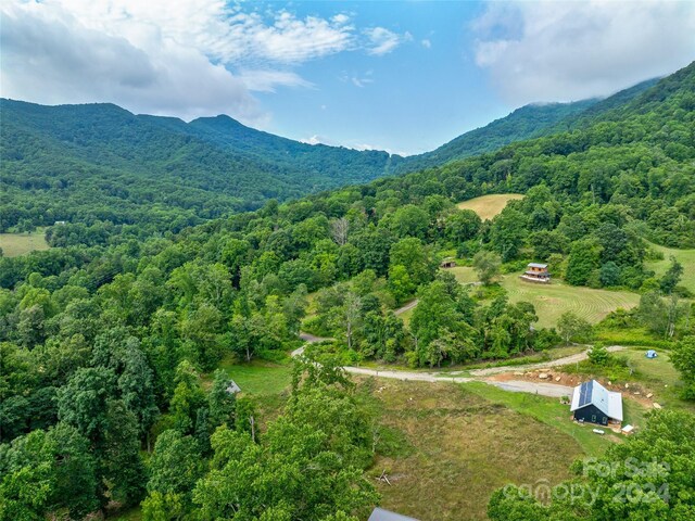 view of mountain feature