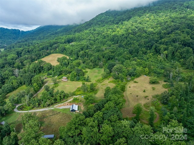 drone / aerial view featuring a mountain view