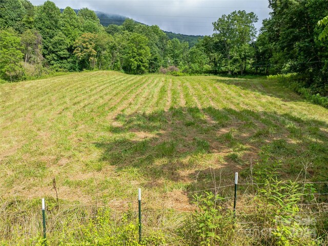 view of yard with a rural view