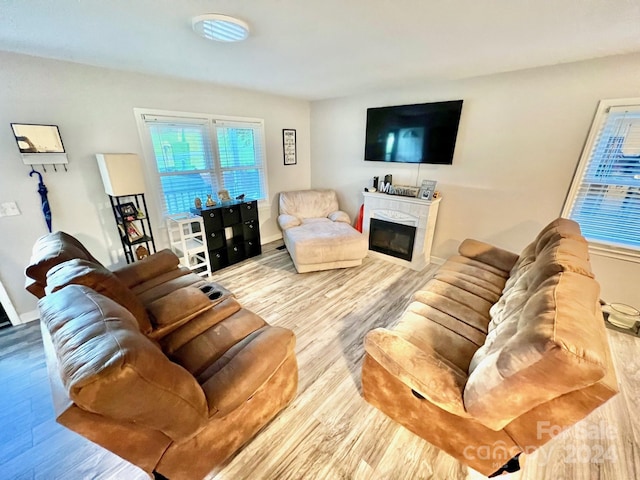 living room featuring hardwood / wood-style floors