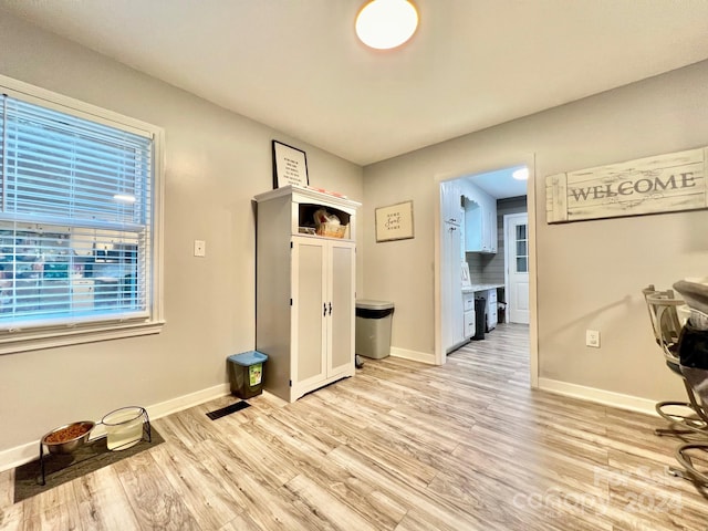 interior space featuring light hardwood / wood-style flooring