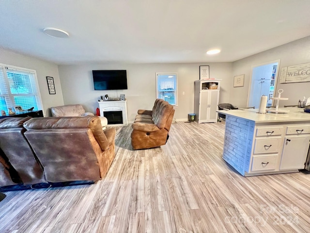 living room featuring light wood-type flooring