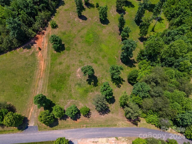 LOT36 Mapleton Ln, Columbus, NC 28722 - photo 2