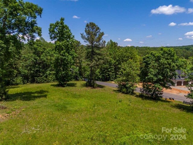 LOT36 Mapleton Ln, Columbus, NC 28722 - photo 4