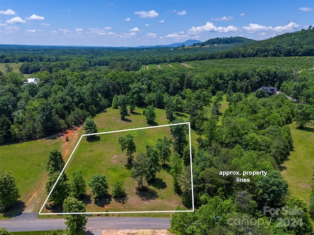 LOT36 Mapleton Ln, Columbus, NC 28722 - photo 6