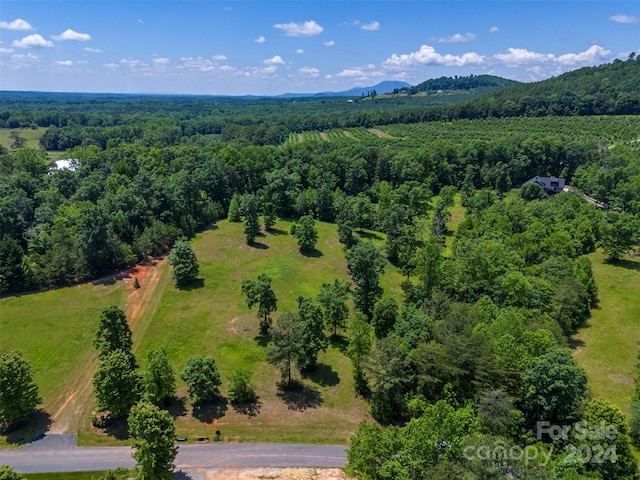 LOT36 Mapleton Ln, Columbus, NC 28722 - photo 7