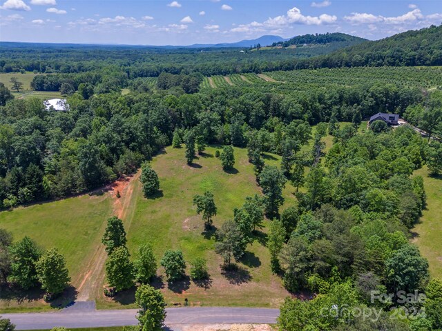 LOT36 Mapleton Ln, Columbus, NC 28722 - photo 8