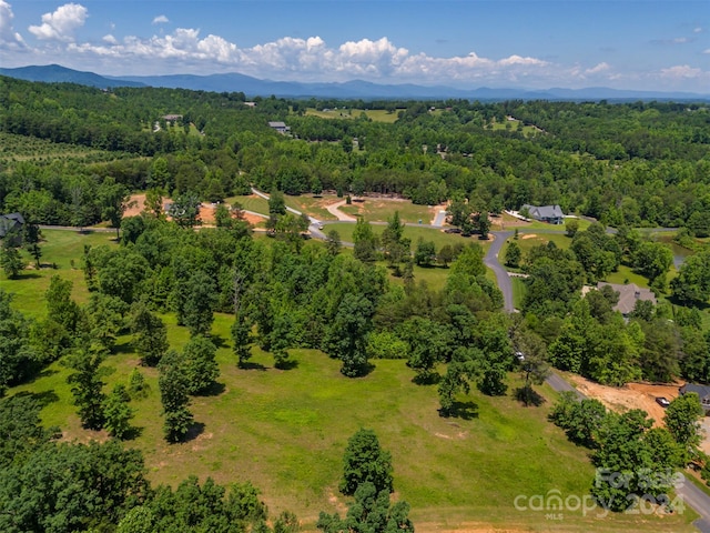 LOT36 Mapleton Ln, Columbus, NC 28722 - photo 11