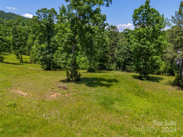 LOT36 Mapleton Ln, Columbus, NC 28722 - photo 12