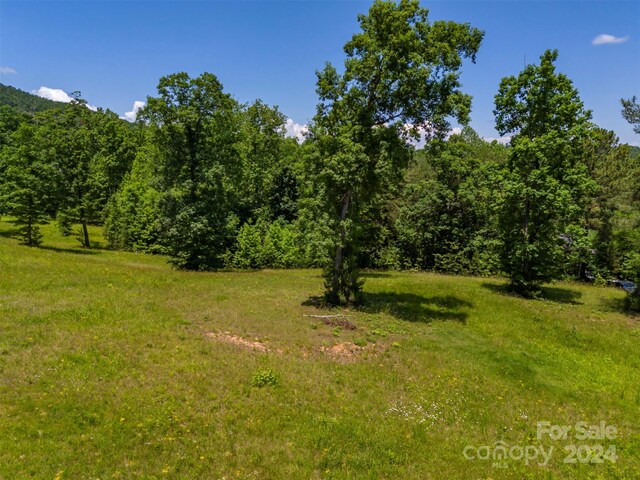 LOT36 Mapleton Ln, Columbus, NC 28722 - photo 13