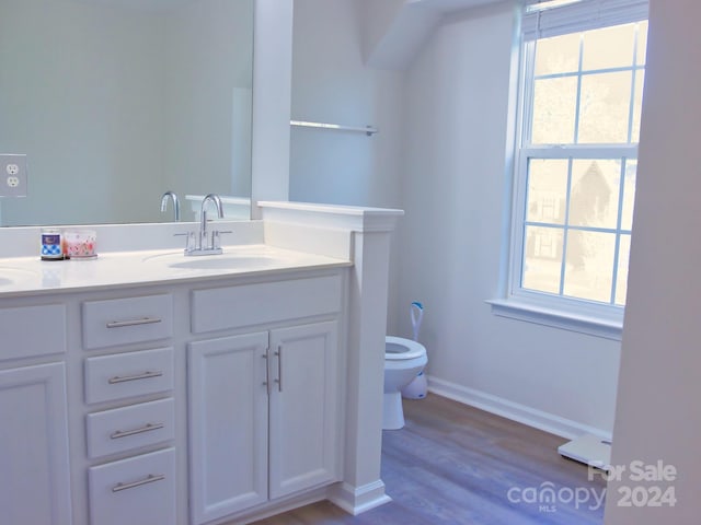 bathroom featuring hardwood / wood-style floors, toilet, and vanity