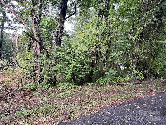 Listing photo 2 for 00/TBD Dogwood Ln, Hendersonville NC 28792