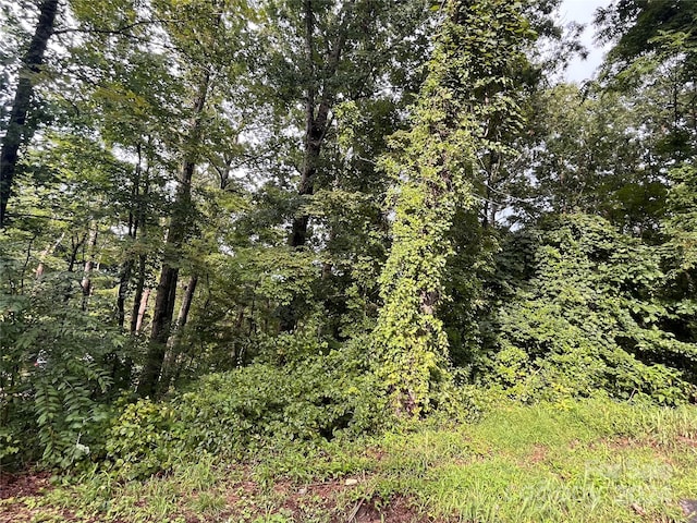 Listing photo 3 for 00/TBD Dogwood Ln, Hendersonville NC 28792