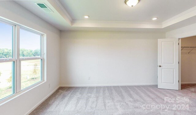 unfurnished room featuring light carpet, a tray ceiling, and a wealth of natural light