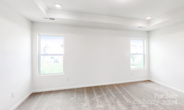 carpeted empty room featuring ornamental molding and a tray ceiling