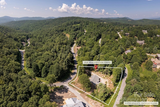 654 Hollybrook Dr, Flat Rock, NC 28731 - aerial view of property's location with property boundaries highlighted