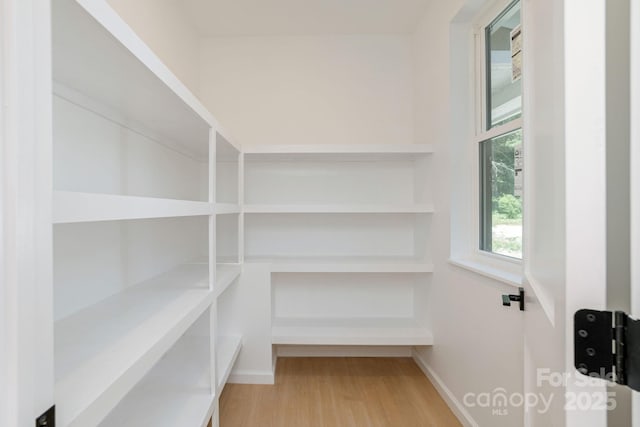 654 Hollybrook Dr, Flat Rock, NC 28731 - view of pantry