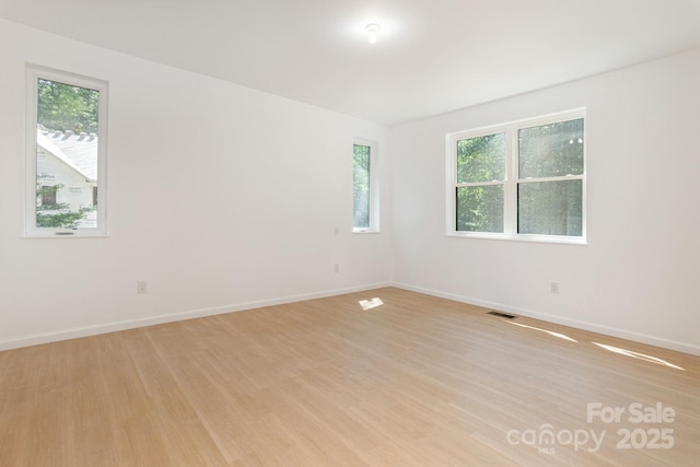 654 Hollybrook Dr, Flat Rock, NC 28731 - spare room featuring plenty of natural light and light wood-style flooring