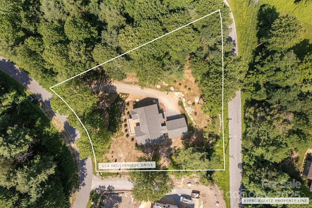654 Hollybrook Dr, Flat Rock, NC 28731 - aerial view of property's location with property parcel outlined