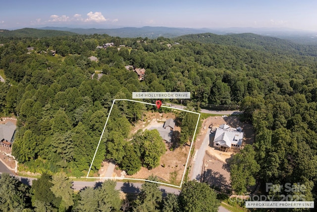 654 Hollybrook Dr, Flat Rock, NC 28731 - aerial view of property and surrounding area featuring a forest and property boundaries highlighted