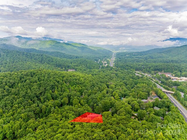 11 Trails Of Kitazuma, Black Mountain, NC 28711 - photo 45
