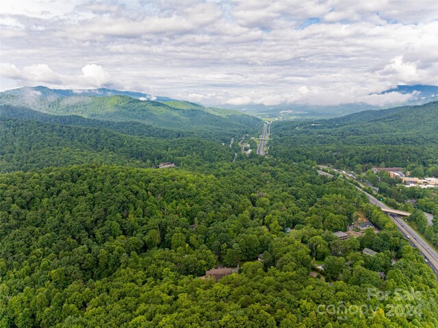11 Trails Of Kitazuma, Black Mountain, NC 28711 - photo 48