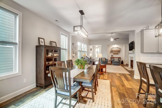 dining space featuring a wealth of natural light, wood-type flooring, and ceiling fan