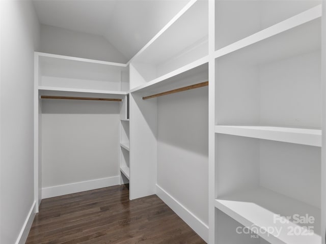 walk in closet with lofted ceiling and dark wood-style floors