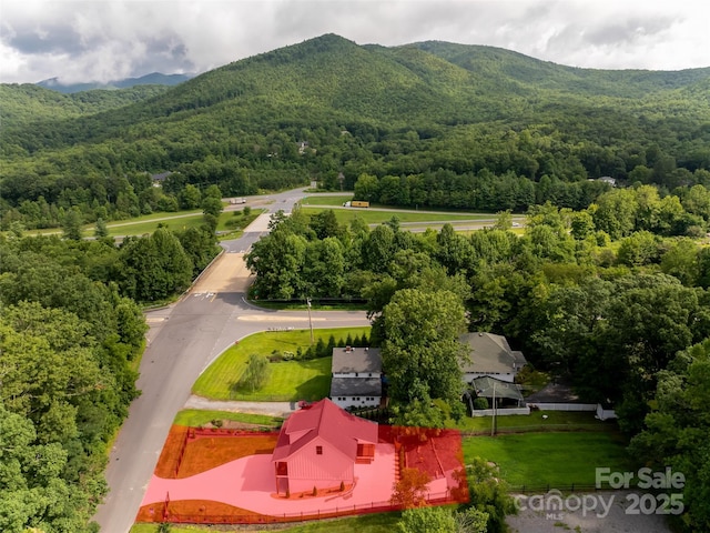 aerial view with a forest view and a mountain view