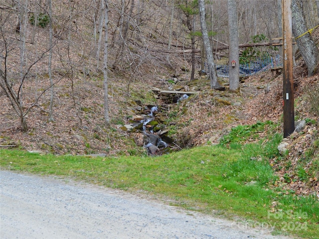 00 Hurricane Ridge Trce Unit 53, Clyde, NC 28721