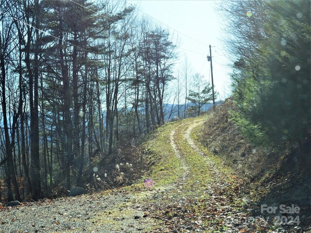 00 Hurricane Ridge Trce Unit 53, Clyde, NC 28721