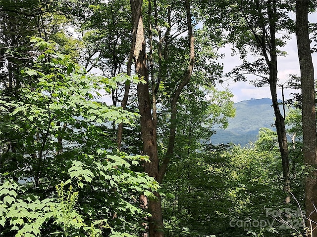 00 Hurricane Ridge Trce Unit 53, Clyde, NC 28721
