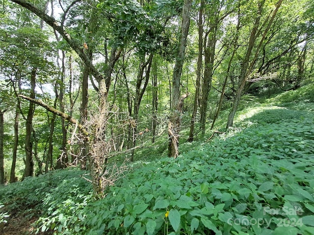 00 Hurricane Ridge Trce Unit 53, Clyde, NC 28721
