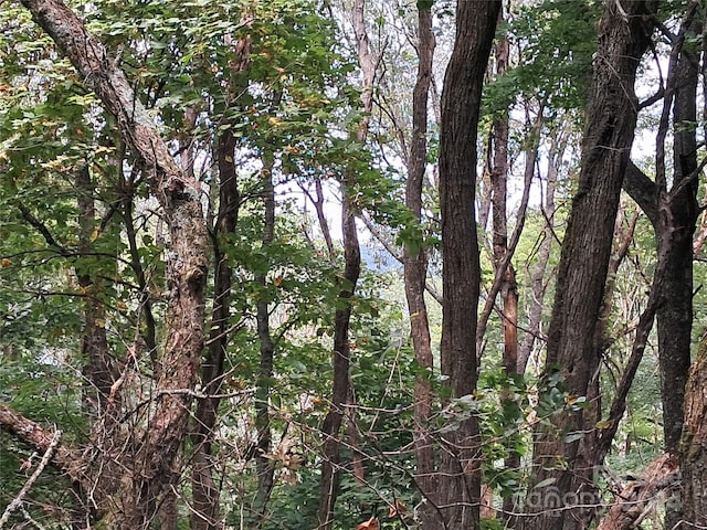 00 Hurricane Ridge Trce Unit 53, Clyde, NC 28721