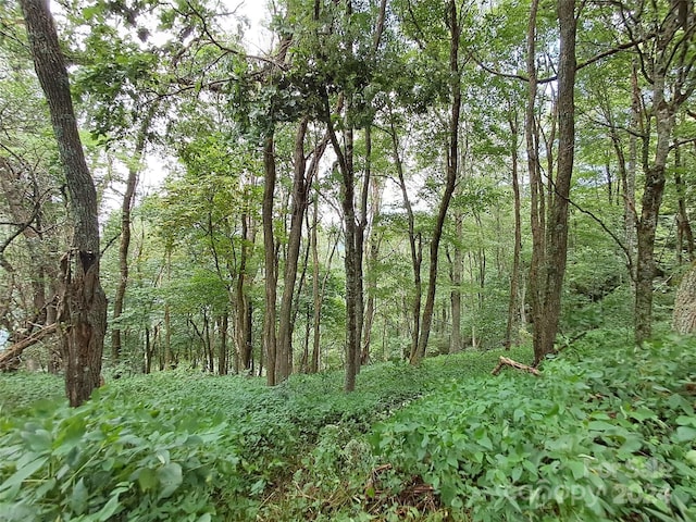 00 Hurricane Ridge Trce Unit 53, Clyde, NC 28721