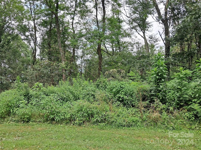 00 Hurricane Ridge Trce Unit 53, Clyde, NC 28721