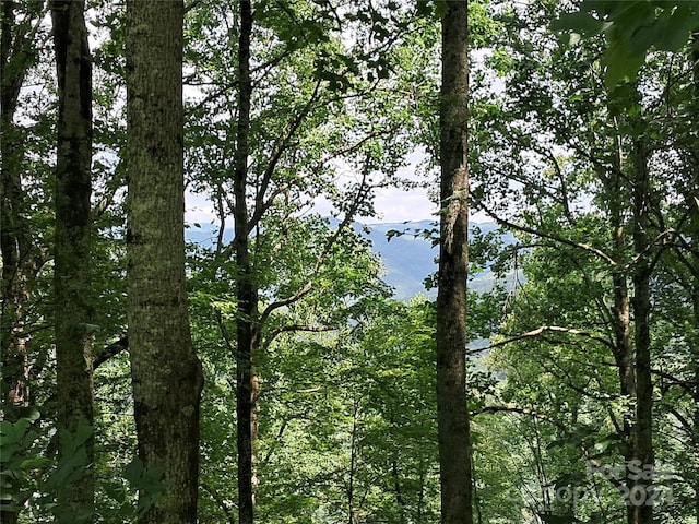 00 Hurricane Ridge Trce Unit 53, Clyde, NC 28721