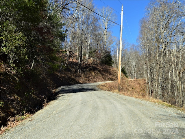00 Hurricane Ridge Trce Unit 53, Clyde, NC 28721