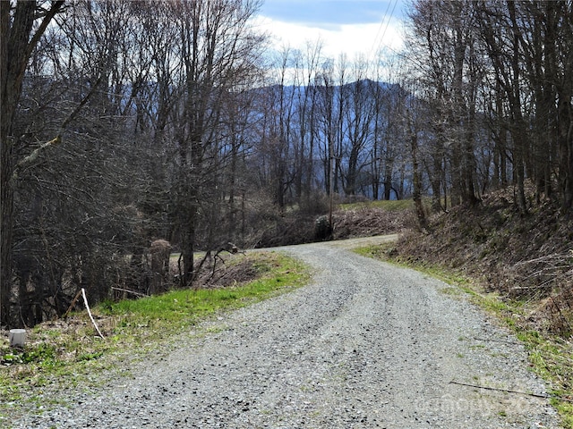 00 Hurricane Ridge Trce Unit 53, Clyde, NC 28721