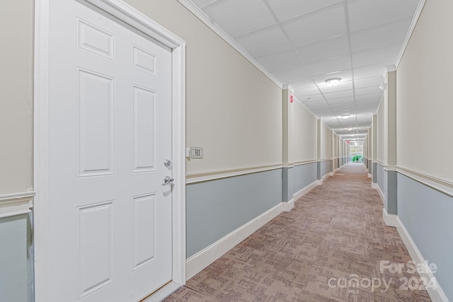 hallway featuring baseboards, crown molding, a paneled ceiling, and light colored carpet